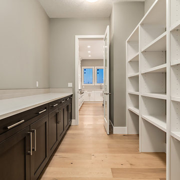 Beautiful Transitional home in Watermark