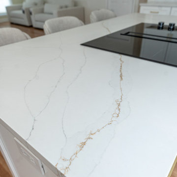 Bronzite Quartz Island Countertop Detail — Harford County, MD