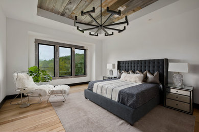 Inspiration for a modern bedroom remodel in Kansas City