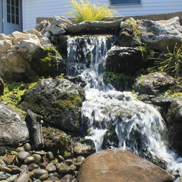 Pond Paradise Designs assorted photos