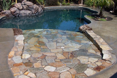 This is an example of a tropical backyard custom-shaped pool in Sacramento with natural stone pavers.