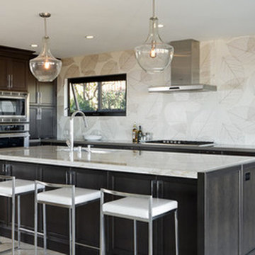 Rich Contemporary Kitchen