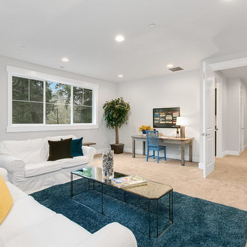 Greater Seattle Area | The Acropolis Bonus Room