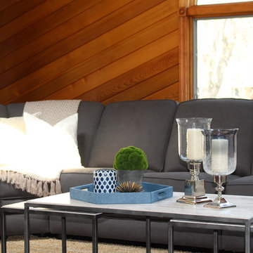 Transitional New Jersey Family Room