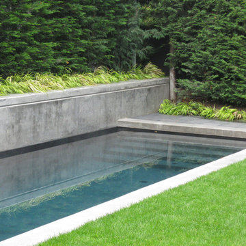 Queen Anne Modern