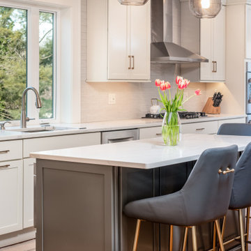 Transitional Kitchen Remodel Kennett Square, PA