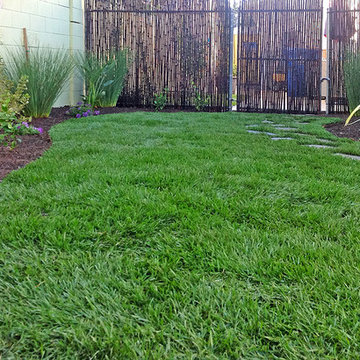 Backyard Landscape--Lawn Installation & Flower Bed