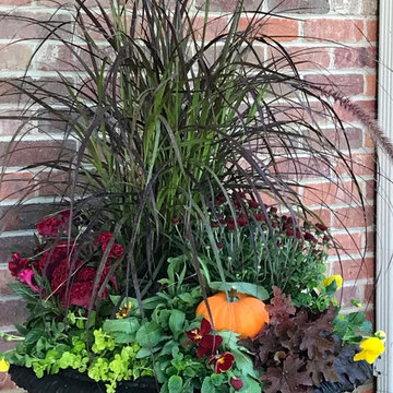Container Gardens- Fall