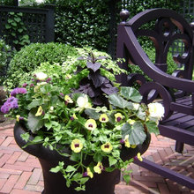 Container gardens