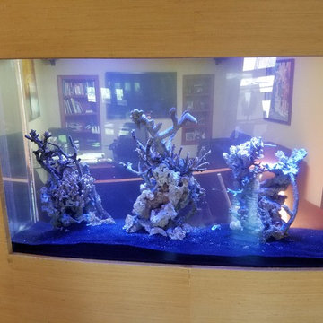 Bubble Crown 370 gallon aquarium