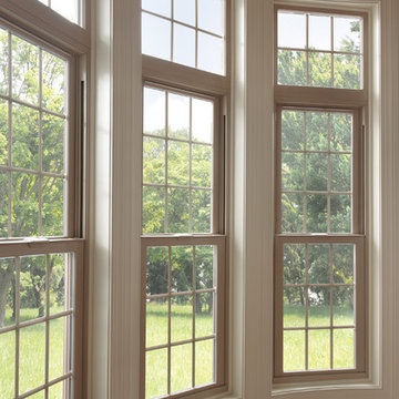Windows and Doors