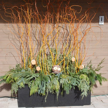 Winter Container Designs