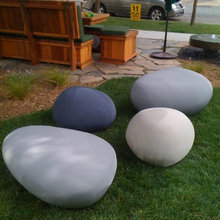 Landscape Ideas