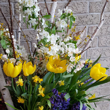 Seasonal planters: Outdoors and Indoors
