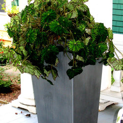 Designer Planters for sale - Outdoor Pots And Planters
