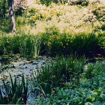 Woodland