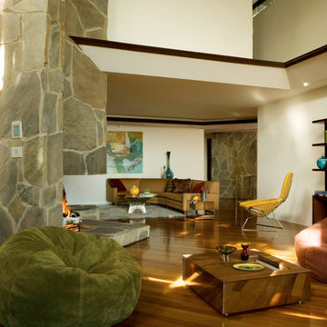 Wolff House by architect John Lautner