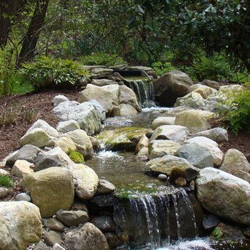 Landscapes & Water Features