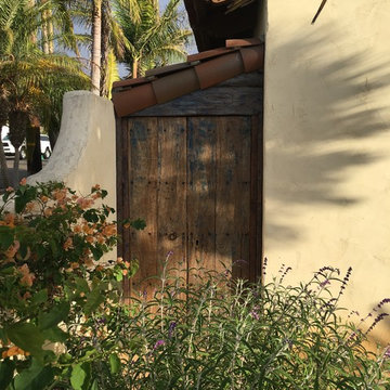 Antique Mexican Doors