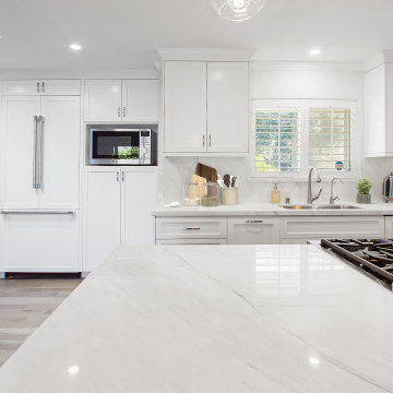 Laguna Niguel Minimalist Kitchen with Quartz Elegance