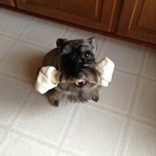 Dorothy Davis's photo