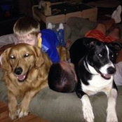LuAnn Rippy Nicholson's photo