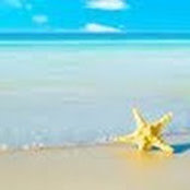 Christine Breitenbach's photo