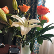 Ellen B's photo