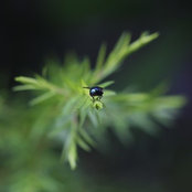 Hudson Ang's photo