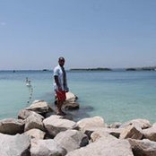 Mohamed Chehade's photo