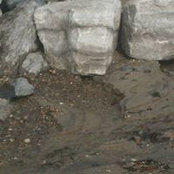 Melanie Brunet's photo