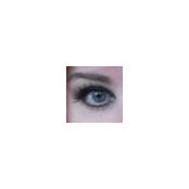 Michelle Bennett's photo