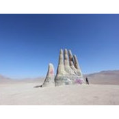 d m's photo