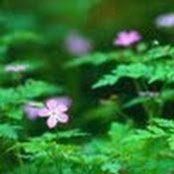 Krystyn McFarlane's photo