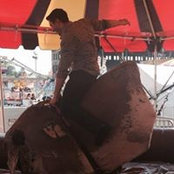 Phil Niles's photo