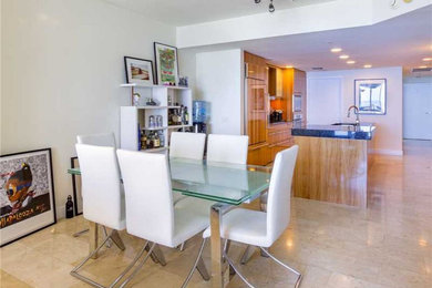 Example of a minimalist dining room design in Miami