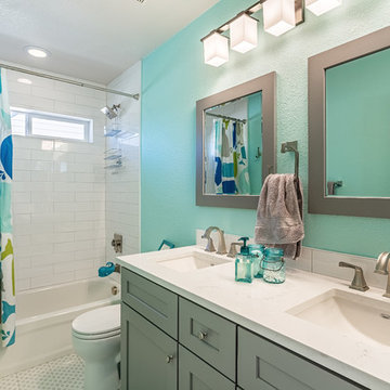 STAPLETON FULL HOUSE REMODEL