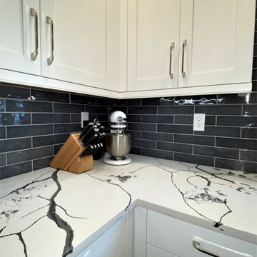 Bright White and Navy Transitional Kitchen