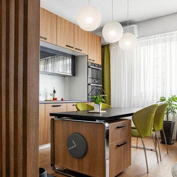 Urban contemporary apartment