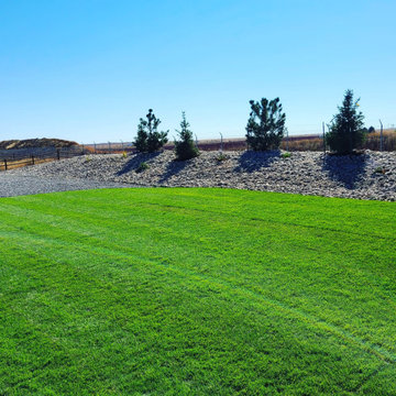 Landscaping Renovation (Berm, Irrigation System, Sod, Trees, Hardscaping)