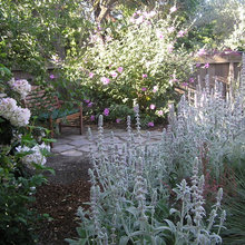 Small garden