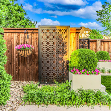 New Backyard Landscape Design | Plano Texas | Alterra Landscape Design