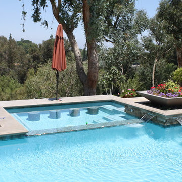 Backyard Equestrian Resort
