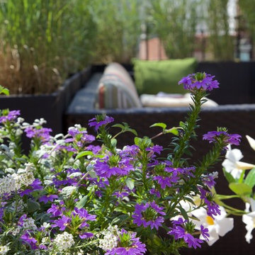 New York Penthouse Garden