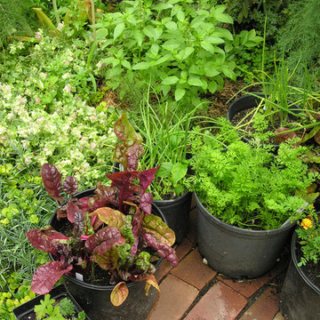 Vegetable variety | Artistry Landscaping Design