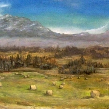 Murals
