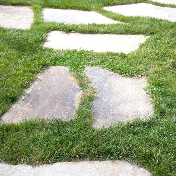 Clamshell Alley