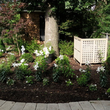 Front & Backyard Landscaping with Moon Garden