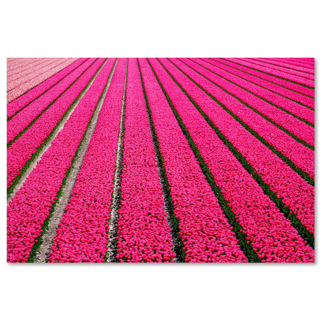 Cora Niele 'Tulip Field Hot Pink' Canvas Art, 22x32