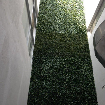 Ranka Lasting Greenery